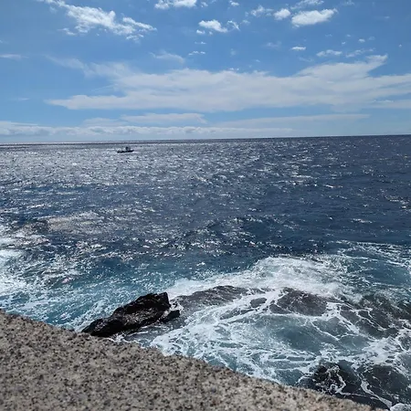 Seashell Serene Escape 公寓 *