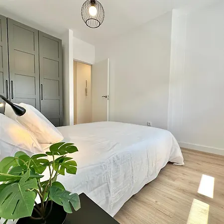 Seashell Serene Escape