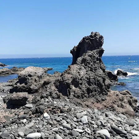 Daire Seashell Serene Escape