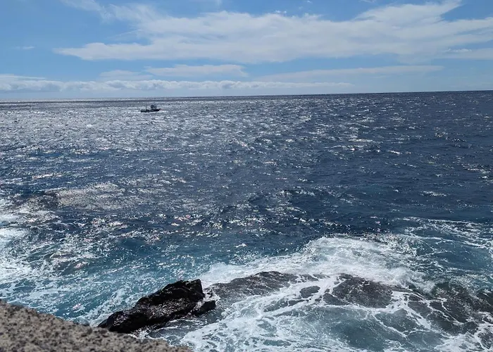 Seashell Serene Escape Apartment *