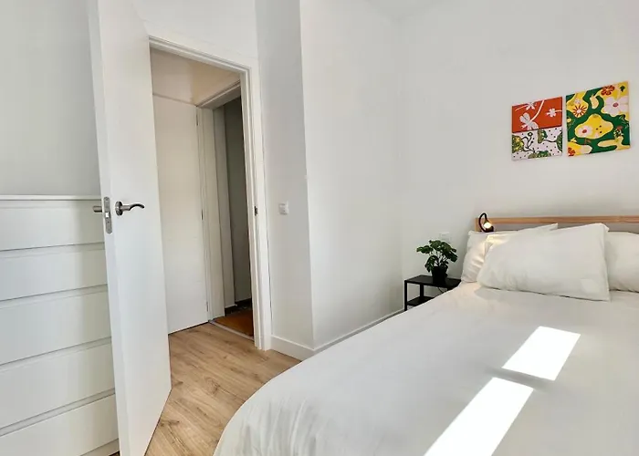 Seashell Serene Escape * 로스 아브리고스